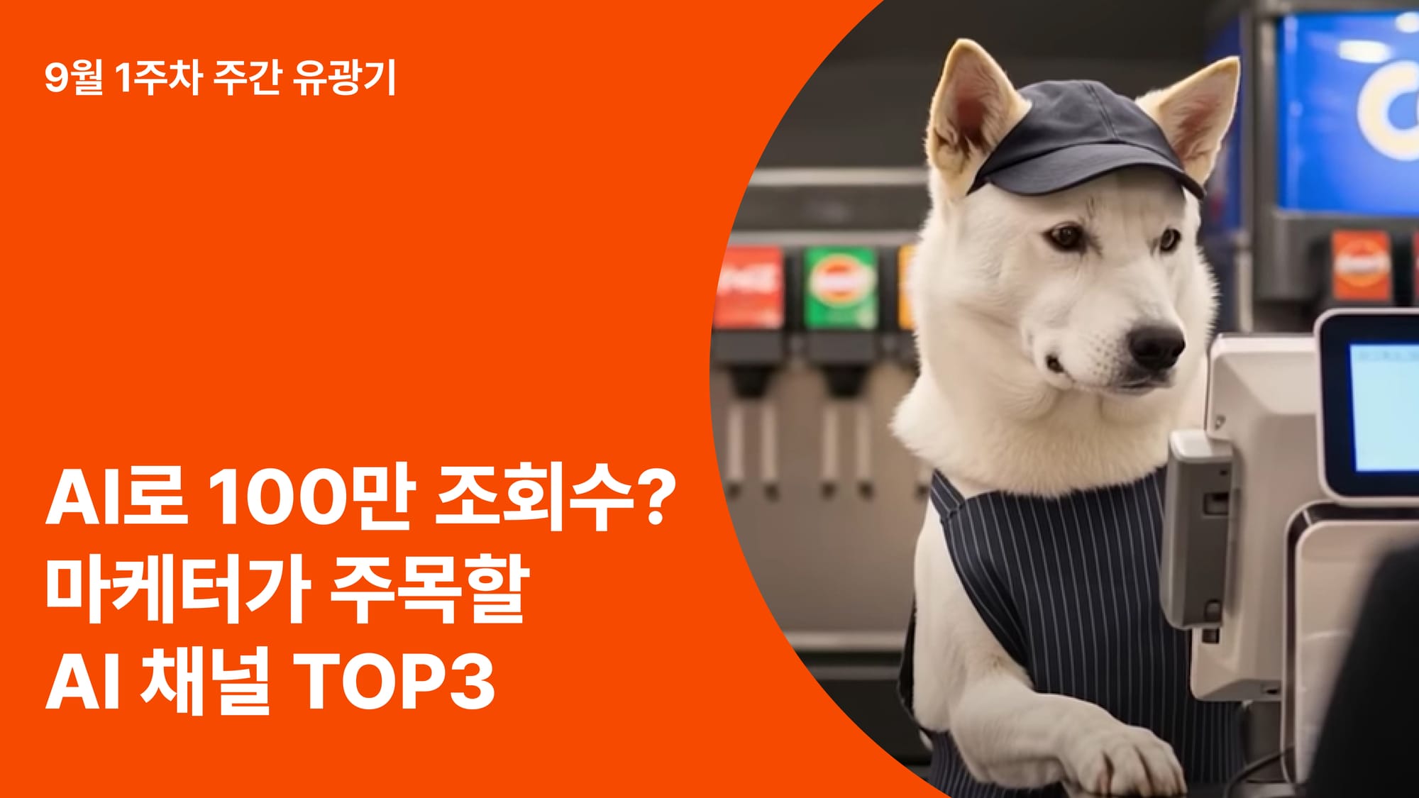 콘텐츠 썸네일